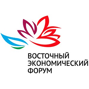 В.В. Климанов принял участие в ВЭФ-2018